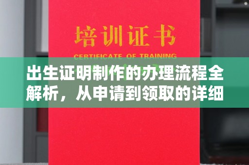 托克逊出生证明制作的办理流程全解析，从申请到领取的详细指南
