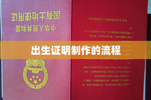 托克逊出生证明制作的流程