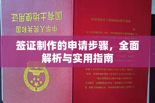 托克逊签证制作的申请步骤，全面解析与实用指南