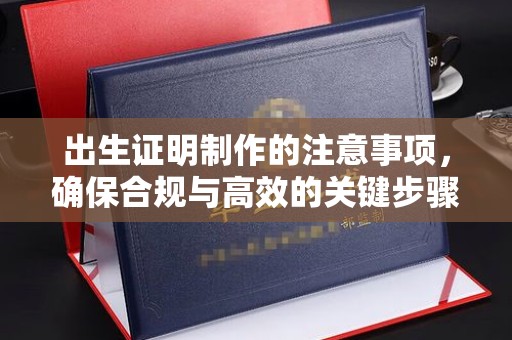 托克逊出生证明制作的注意事项，确保合规与高效的关键步骤