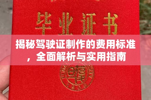 托克逊揭秘驾驶证制作的费用标准，全面解析与实用指南