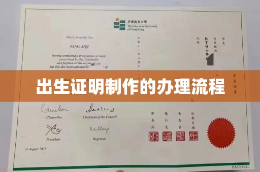 托克逊出生证明制作的办理流程
