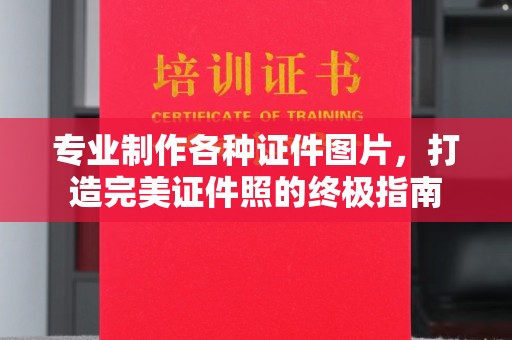 托克逊专业制作各种证件图片，打造完美证件照的终极指南