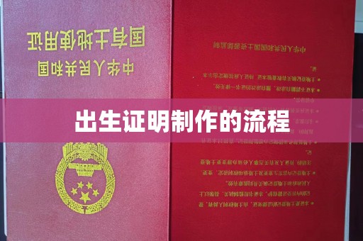 托克逊出生证明制作的流程