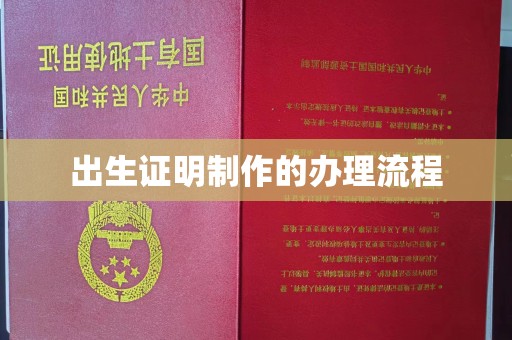 托克逊出生证明制作的办理流程